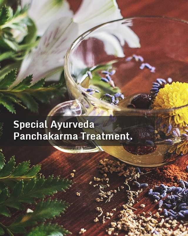 Vedamarogya Mobile Slide
